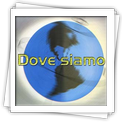 DOVE SIAMO